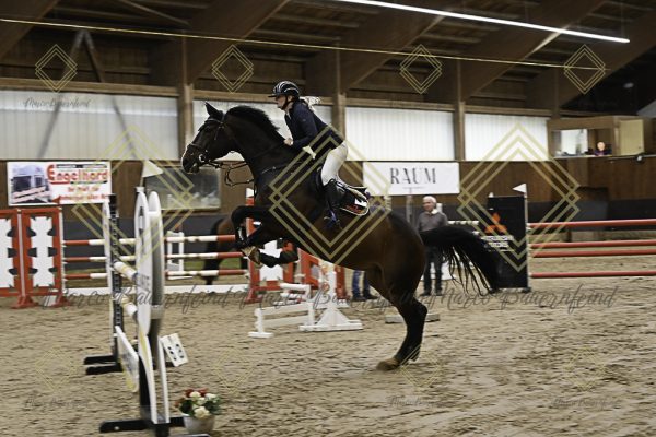 Fränkische Meisterschaft - Prüfung 8, Springpr. Kl. M* - Image 33