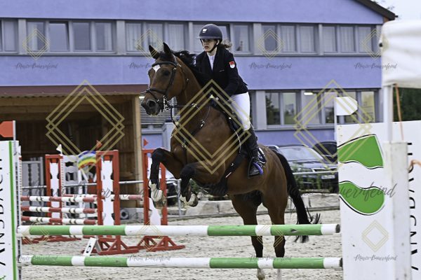 Fränkische Meisterschaft - Prüfung 20, Springpr.Kl.A** - Image 25