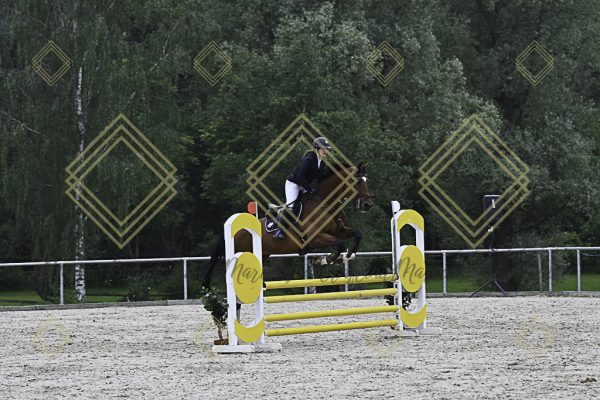 Fränkische Meisterschaft - Prüfung 20, Springpr.Kl.A** - Image 26