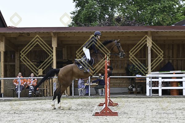 Fränkische Meisterschaft - Prüfung 20, Springpr.Kl.A** - Image 27