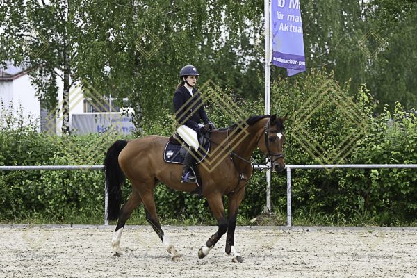 Fränkische Meisterschaft - Prüfung 20, Springpr.Kl.A** - Image 29