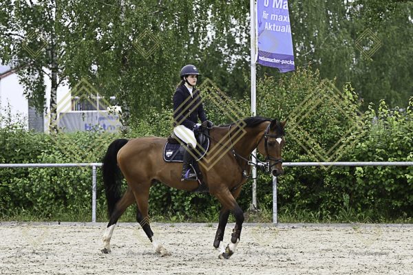 Fränkische Meisterschaft - Prüfung 20, Springpr.Kl.A** - Image 30