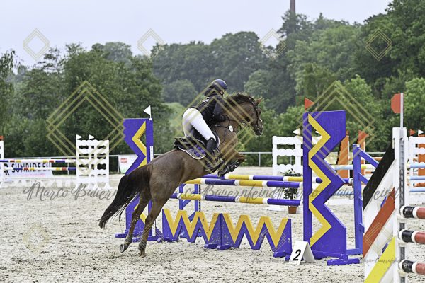 Fränkische Meisterschaft - Prüfung 10, Springpr. Kl. L - Image 70