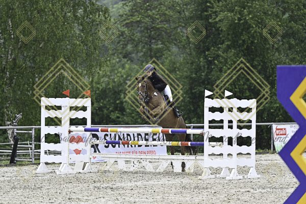 Fränkische Meisterschaft - Prüfung 10, Springpr. Kl. L - Image 71