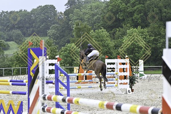 Fränkische Meisterschaft - Prüfung 10, Springpr. Kl. L - Image 72