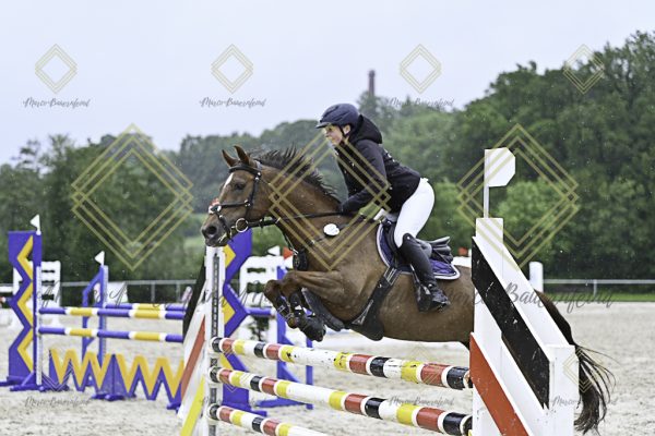 Fränkische Meisterschaft - Prüfung 10, Springpr. Kl. L - Image 74