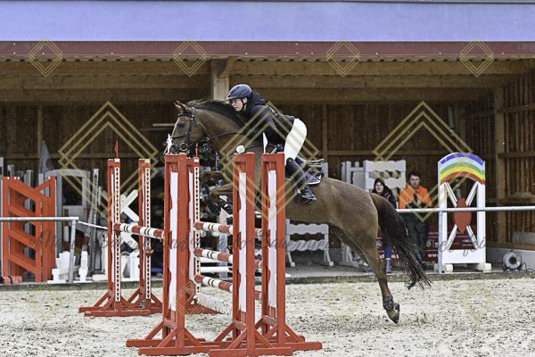 Fränkische Meisterschaft - Prüfung 10, Springpr. Kl. L - Image 75