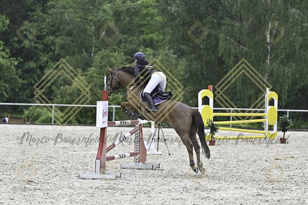 Fränkische Meisterschaft - Prüfung 10, Springpr. Kl. L - Image 76