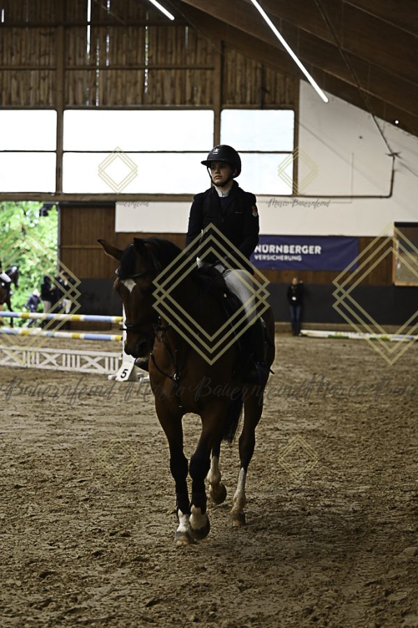 Fränkische Meisterschaft - Prüfung 21, Ponystilpr. Kl. A** m.St. - Image 6