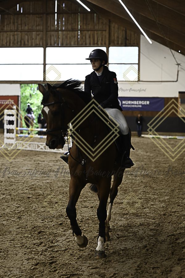 Fränkische Meisterschaft - Prüfung 21, Ponystilpr. Kl. A** m.St. - Image 7