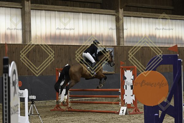 Fränkische Meisterschaft - Prüfung 21, Ponystilpr. Kl. A** m.St. - Image 8