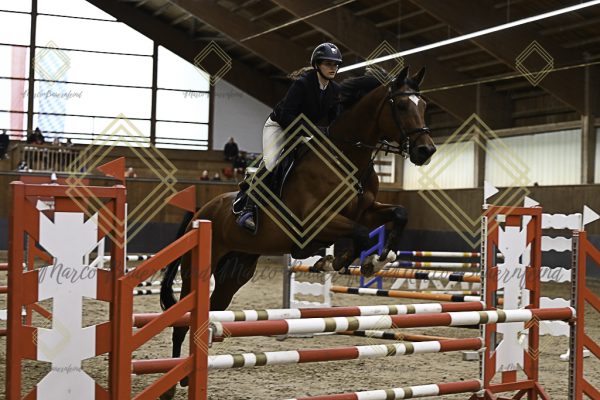 Fränkische Meisterschaft - Prüfung 21, Ponystilpr. Kl. A** m.St. - Image 12
