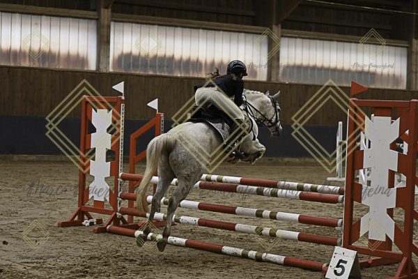Fränkische Meisterschaft - Prüfung 16, Ponystilpr. Kl. E - Image 4