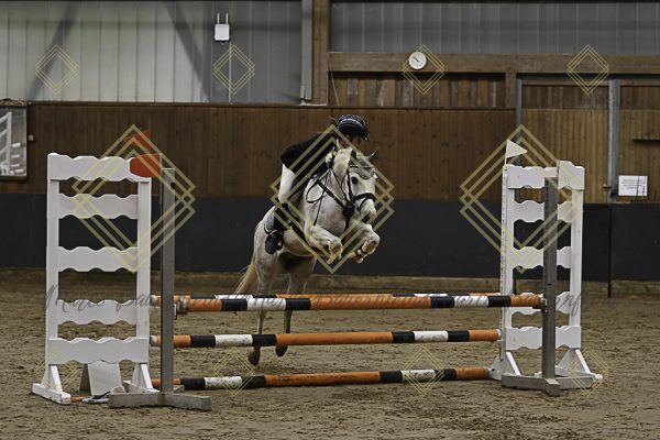 Fränkische Meisterschaft - Prüfung 16, Ponystilpr. Kl. E - Image 5