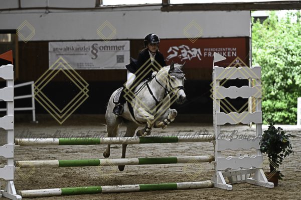 Fränkische Meisterschaft - Prüfung 17, Ponystilpr. Kl. E - Image 3