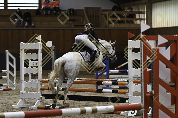 Fränkische Meisterschaft - Prüfung 17, Ponystilpr. Kl. E - Image 4