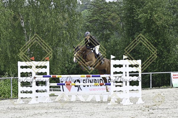 Fränkische Meisterschaft - Prüfung 18, Springpr. Kl. M* - Image 54