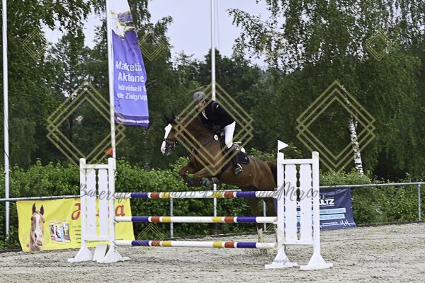Fränkische Meisterschaft - Prüfung 18, Springpr. Kl. M* - Image 55