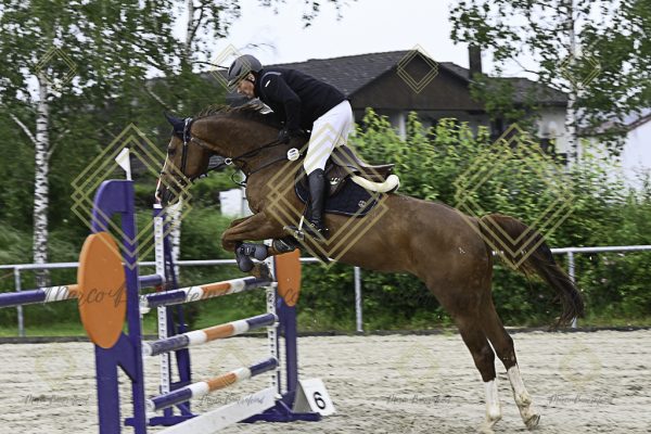Fränkische Meisterschaft - Prüfung 18, Springpr. Kl. M* - Image 56
