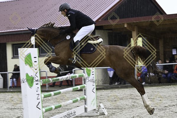 Fränkische Meisterschaft - Prüfung 18, Springpr. Kl. M* - Image 57