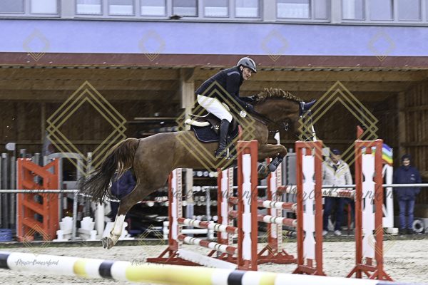 Fränkische Meisterschaft - Prüfung 18, Springpr. Kl. M* - Image 58