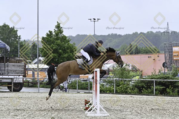 Fränkische Meisterschaft - Prüfung 4, Springpr. Kl. M* - Image 38
