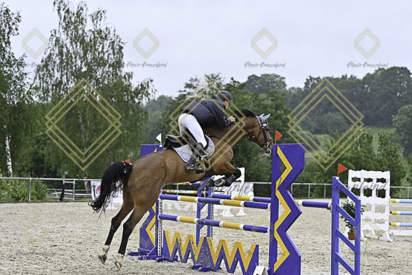Fränkische Meisterschaft - Prüfung 4, Springpr. Kl. M* - Image 39
