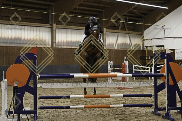 Fränkische Meisterschaft - Prüfung 5, Springpr. Kl. M** - Image 31