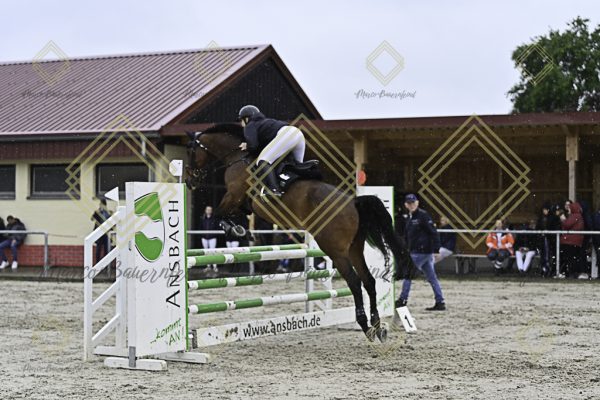 Fränkische Meisterschaft - Prüfung 7, Springpr. Kl. L - Image 40