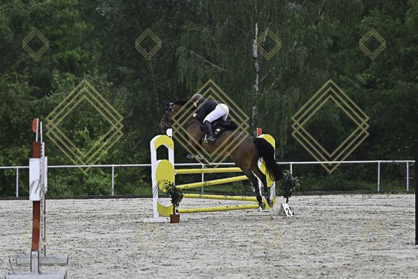 Fränkische Meisterschaft - Prüfung 7, Springpr. Kl. L - Image 41