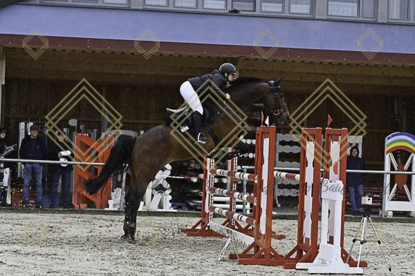 Fränkische Meisterschaft - Prüfung 7, Springpr. Kl. L - Image 42