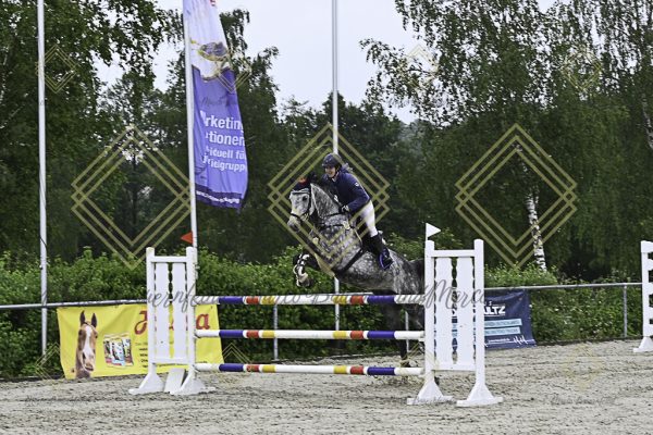 Fränkische Meisterschaft - Prüfung 18, Springpr. Kl. M* - Image 61