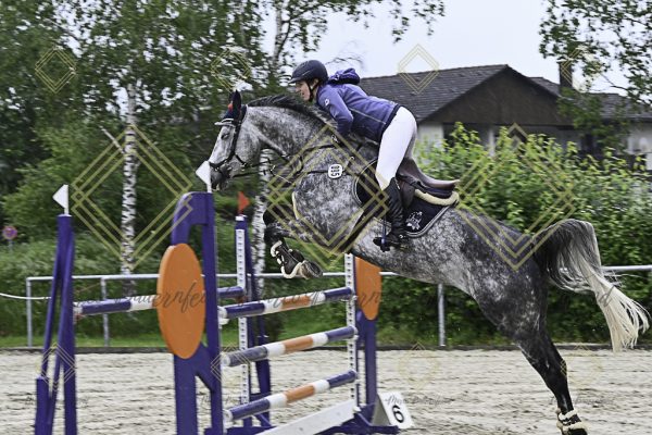 Fränkische Meisterschaft - Prüfung 18, Springpr. Kl. M* - Image 62