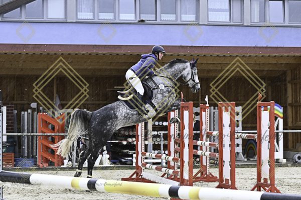 Fränkische Meisterschaft - Prüfung 18, Springpr. Kl. M* - Image 64