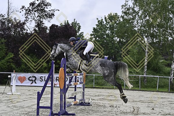 Fränkische Meisterschaft - Prüfung 1, Springpr. Kl. S* - Image 61