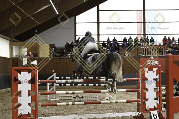 Fränkische Meisterschaft - Prüfung 2, Springpr. Kl. S* - Image 39