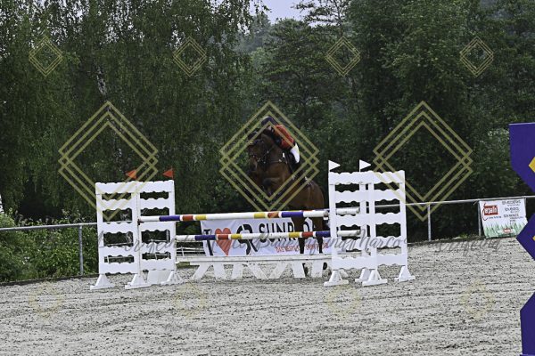Fränkische Meisterschaft - Prüfung 18, Springpr. Kl. M* - Image 66