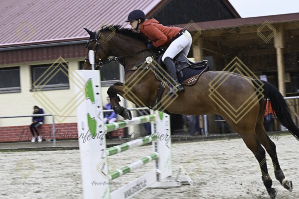 Fränkische Meisterschaft - Prüfung 18, Springpr. Kl. M* - Image 68