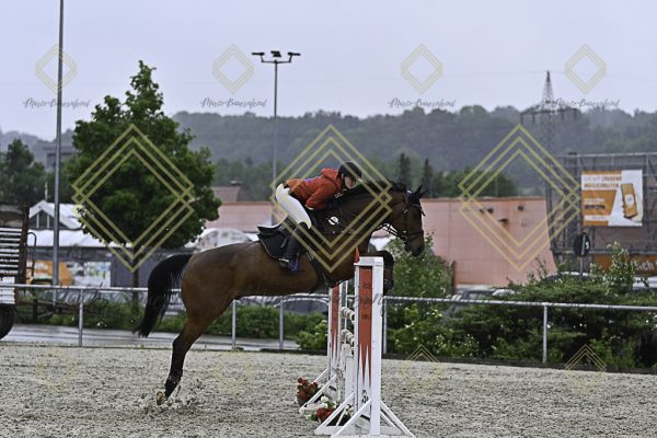 Fränkische Meisterschaft - Prüfung 4, Springpr. Kl. M* - Image 44