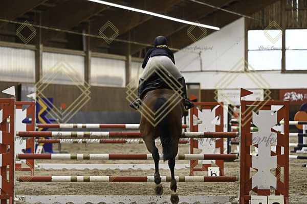 Fränkische Meisterschaft - Prüfung 5, Springpr. Kl. M** - Image 35