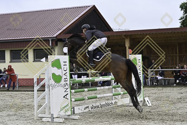 Fränkische Meisterschaft - Prüfung 7, Springpr. Kl. L - Image 43