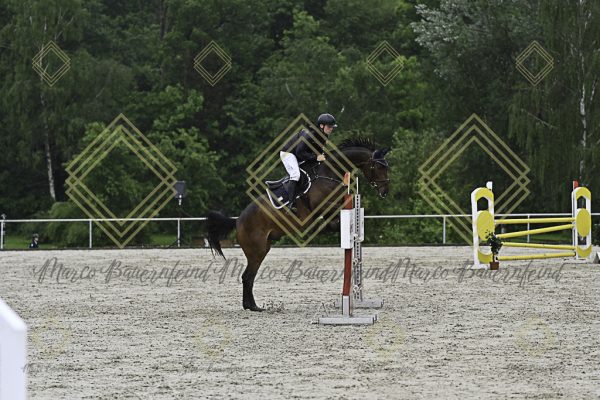Fränkische Meisterschaft - Prüfung 7, Springpr. Kl. L - Image 44