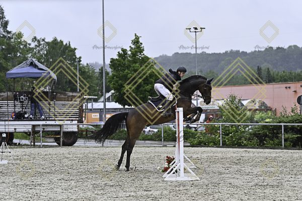 Fränkische Meisterschaft - Prüfung 10, Springpr. Kl. L - Image 77