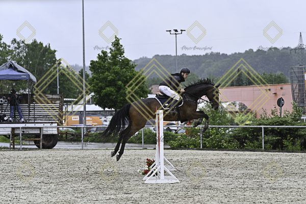 Fränkische Meisterschaft - Prüfung 10, Springpr. Kl. L - Image 78