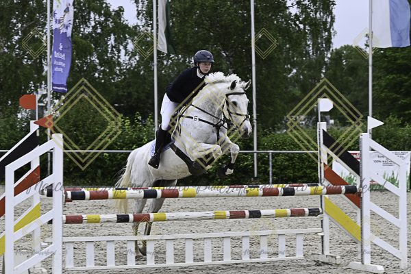 Fränkische Meisterschaft - Prüfung 20, Springpr.Kl.A** - Image 35