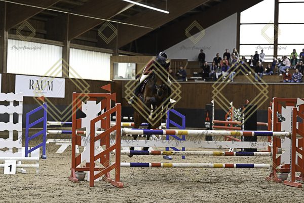 Fränkische Meisterschaft - Prüfung 12, Springpr. Kl. L - Image 90