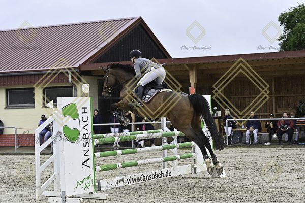 Fränkische Meisterschaft - Prüfung 7, Springpr. Kl. L - Image 48