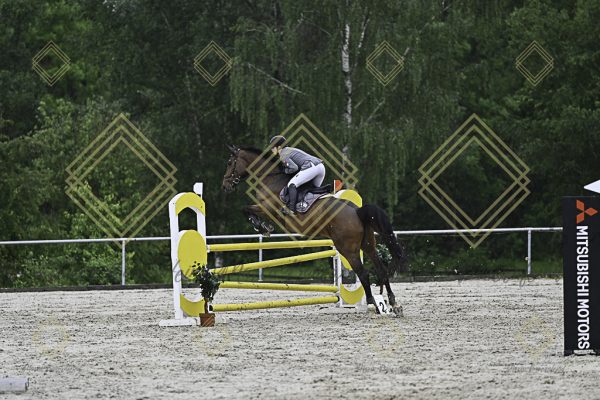 Fränkische Meisterschaft - Prüfung 7, Springpr. Kl. L - Image 49