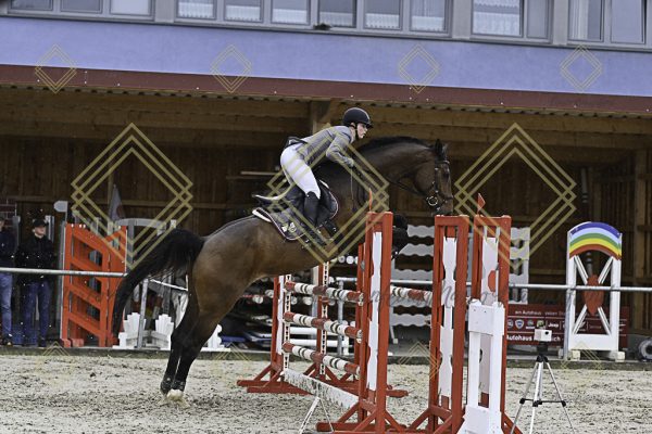 Fränkische Meisterschaft - Prüfung 7, Springpr. Kl. L - Image 51