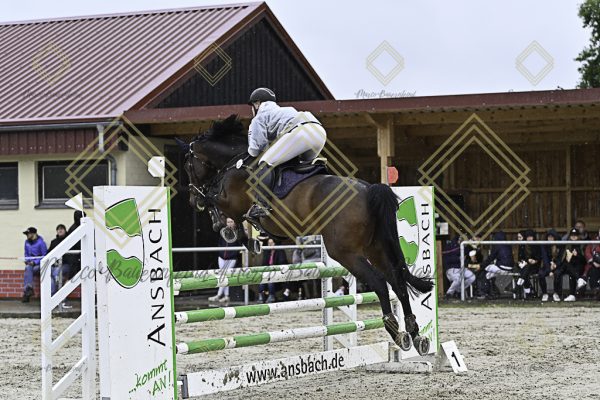 Fränkische Meisterschaft - Prüfung 7, Springpr. Kl. L - Image 54